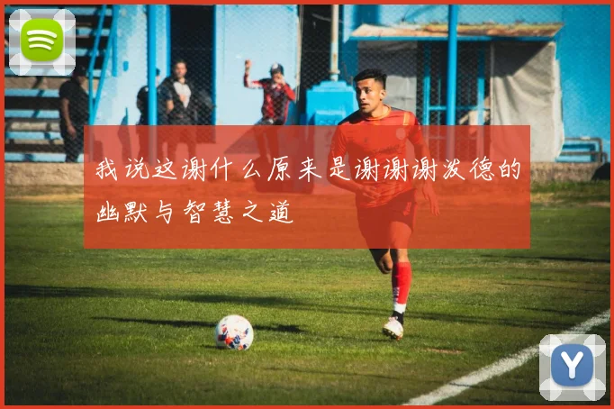 我说这谢什么原来是谢谢谢泼德的幽默与智慧之道